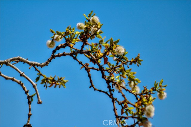 MLS #PW25231303 image #35