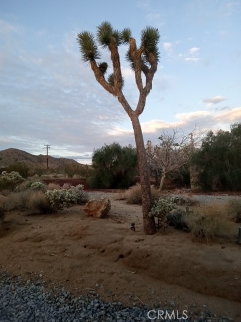 MLS #PW25233905 image #15