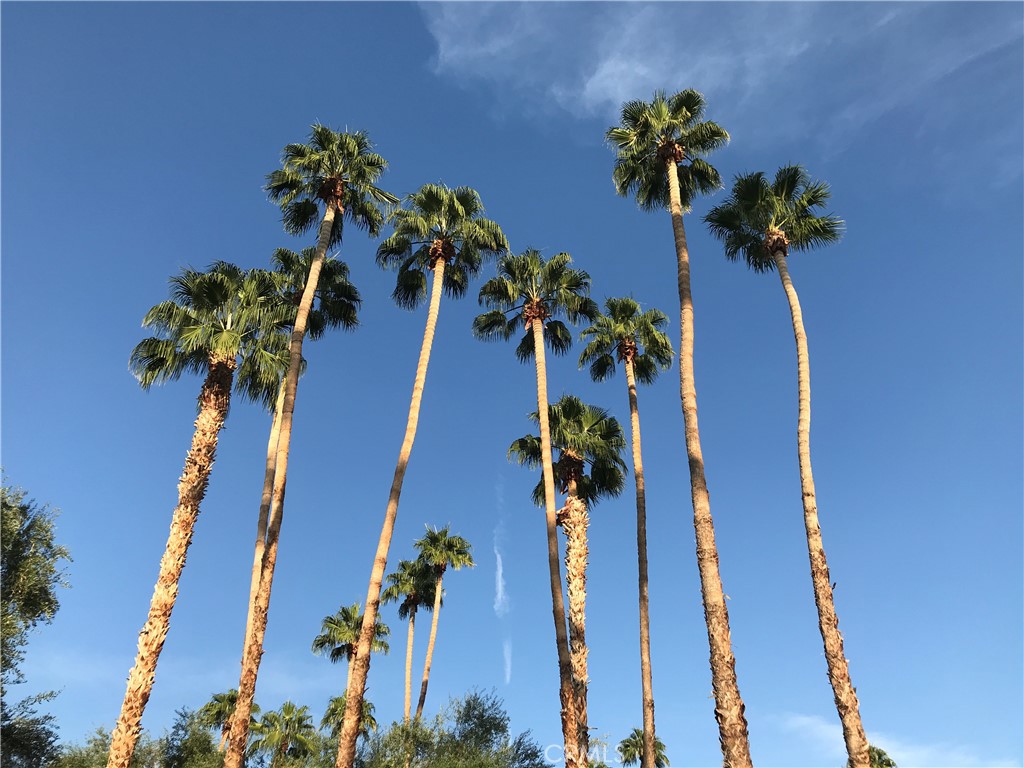 MLS #RS25014845 image #44