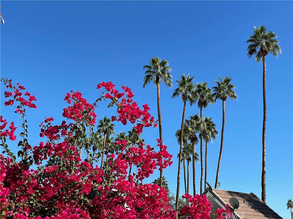 MLS #RS25014845 image #46