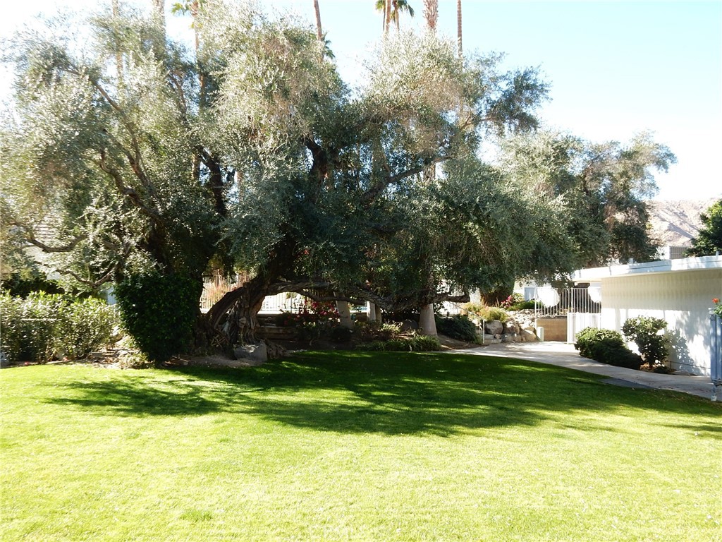 MLS #RS25014845 image #50