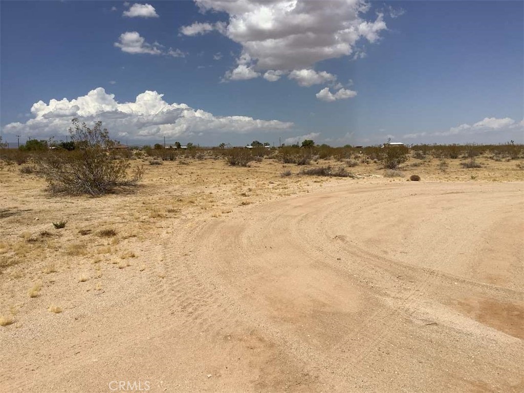 MLS #RW24175008 image #1