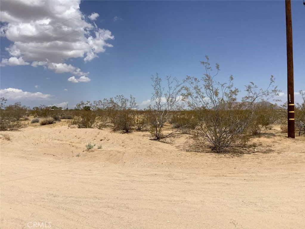 MLS #RW24175008 image #6