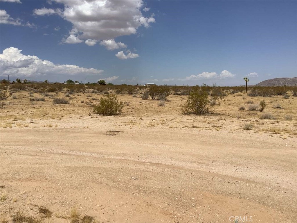 MLS #RW24175008 image #7