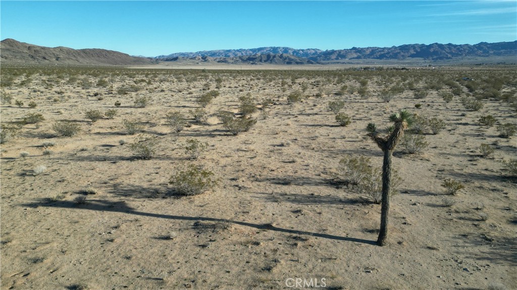 MLS #SB24059457 image #9