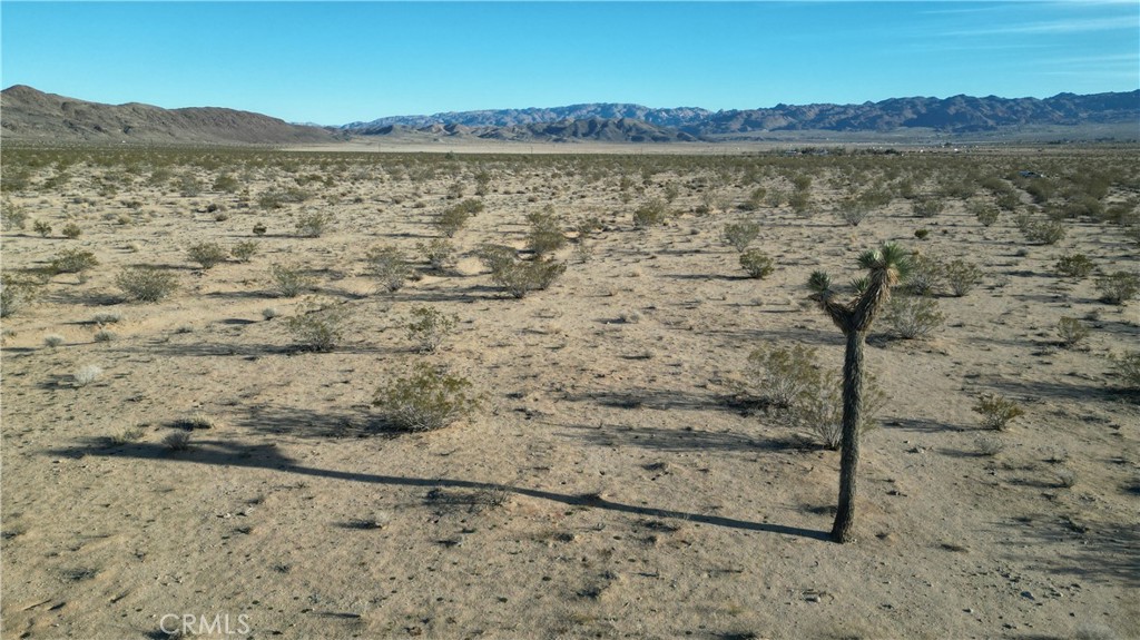 MLS #SB24059468 image #8