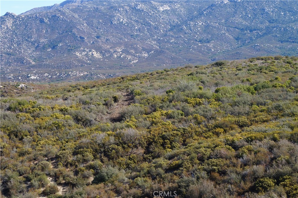 MLS #SB25011782 image #0