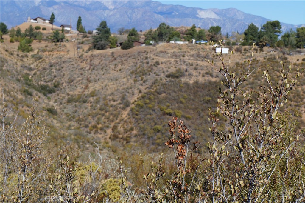 MLS #SB25011782 image #10