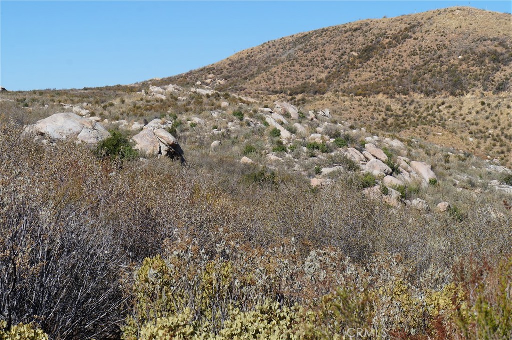 MLS #SB25011782 image #11