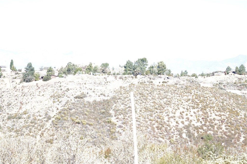 MLS #SB25011782 image #12