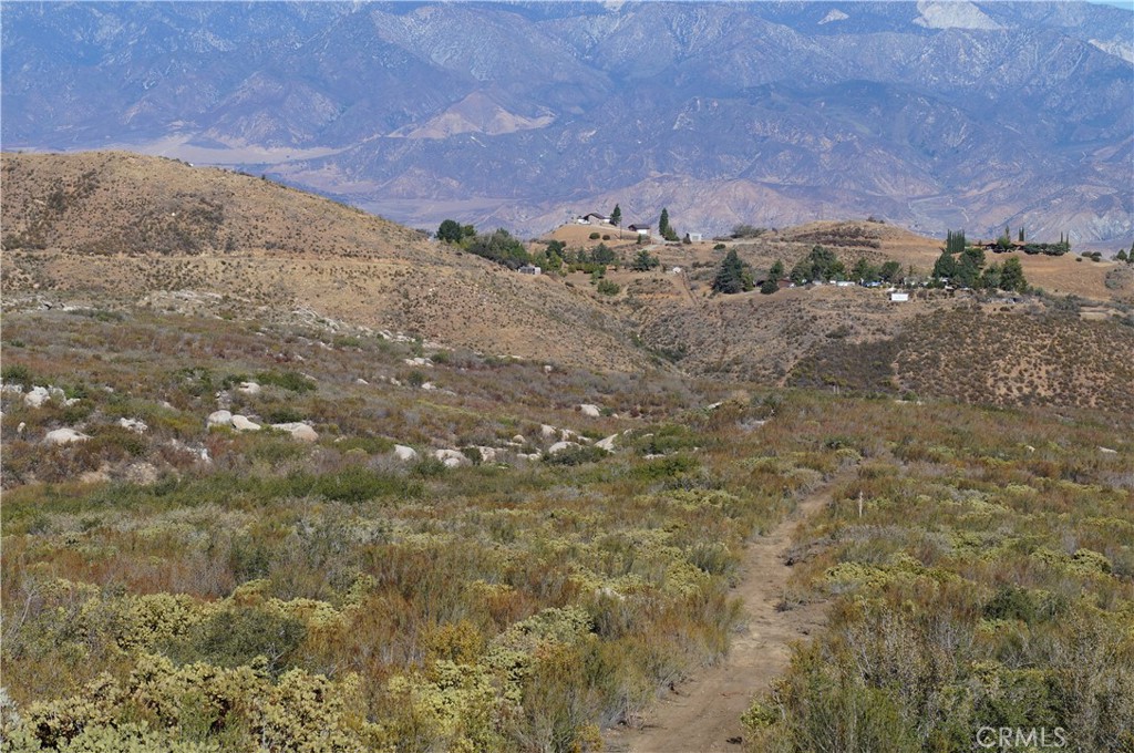 MLS #SB25011782 image #13