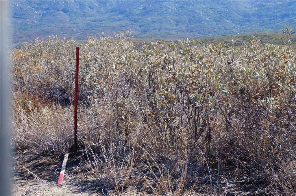 MLS #SB25011782 image #3