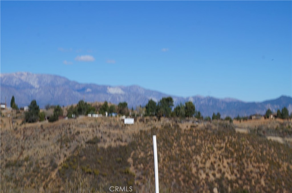 MLS #SB25011782 image #4