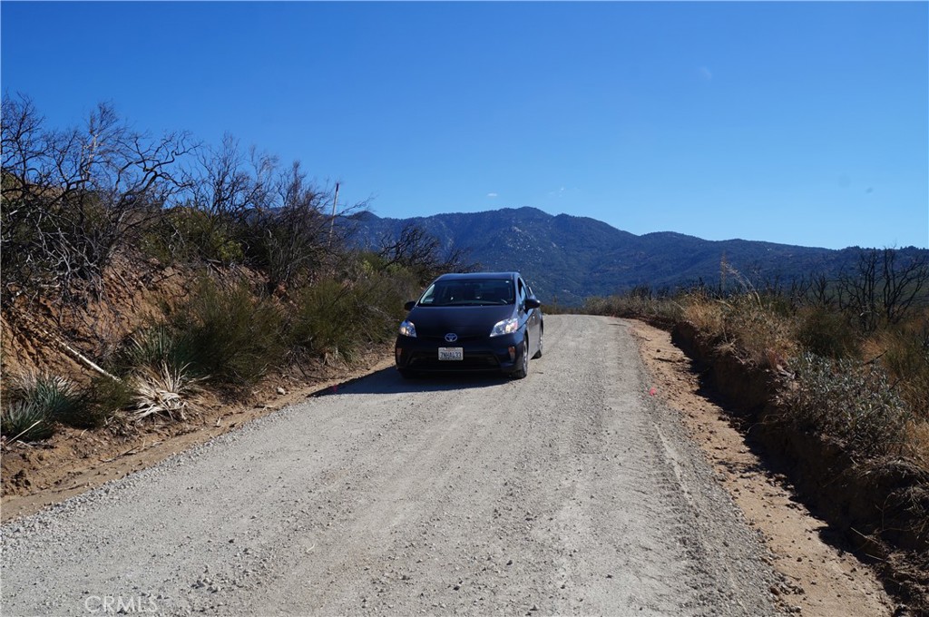 MLS #SB25011782 image #5