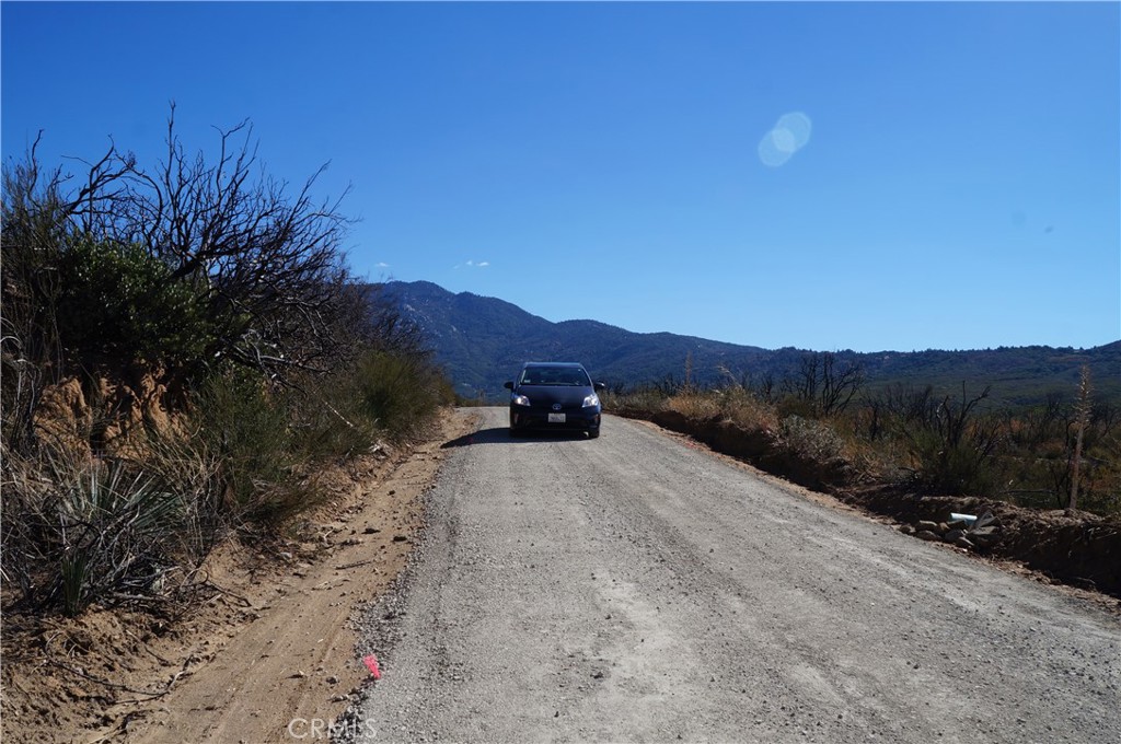 MLS #SB25011782 image #7