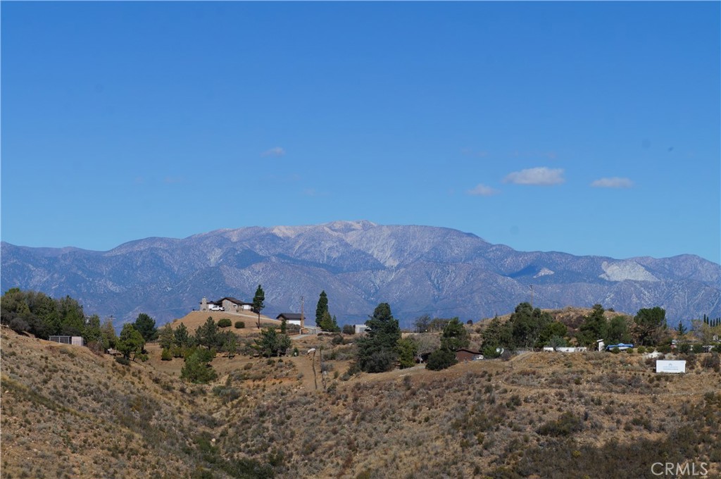 MLS #SB25011782 image #8