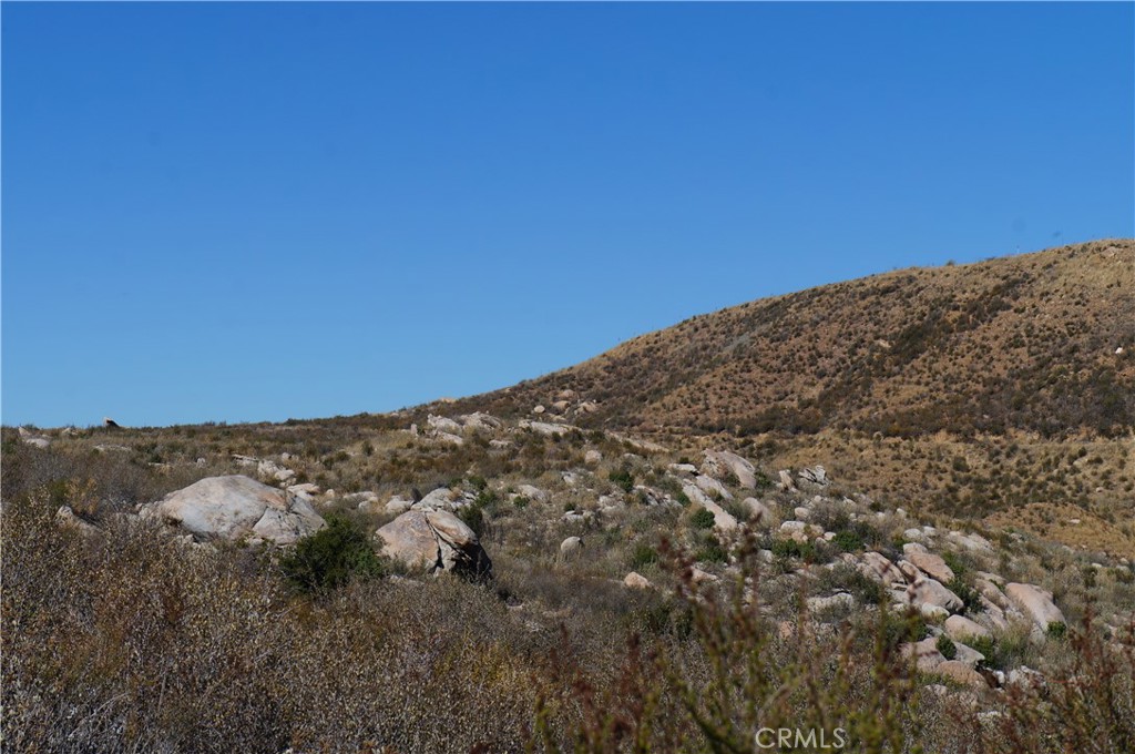 MLS #SB25011782 image #9