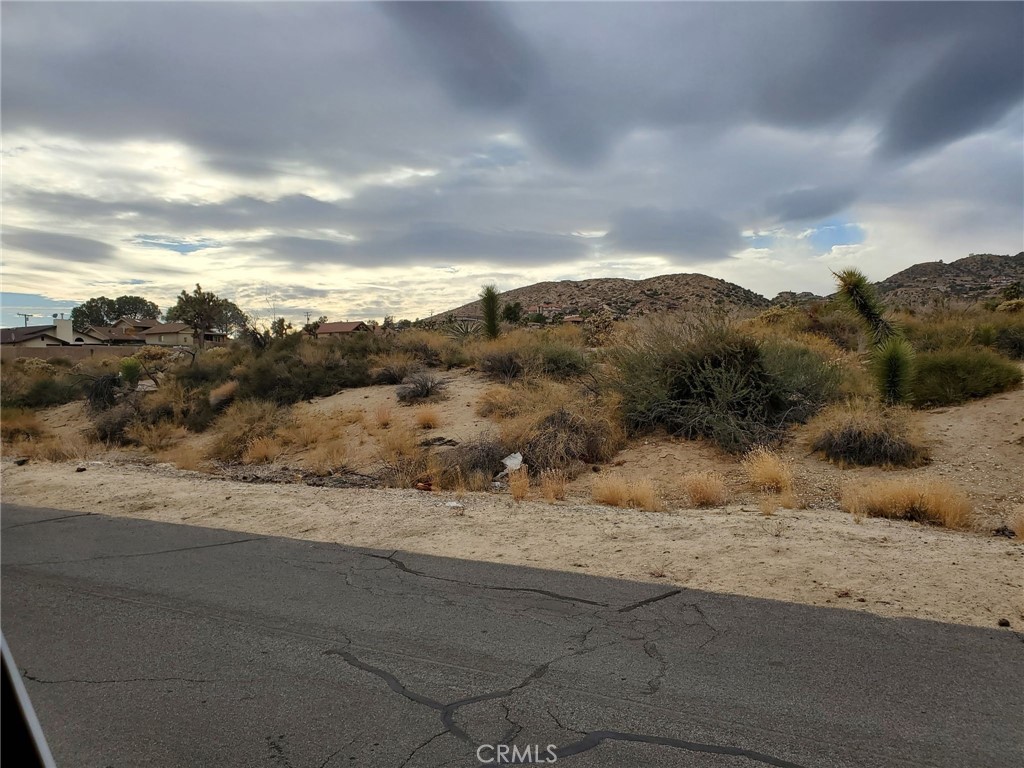 MLS #SB25140350 image #1