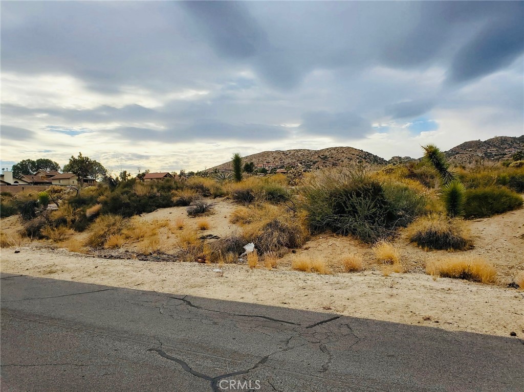 MLS #SB25140350 image #2