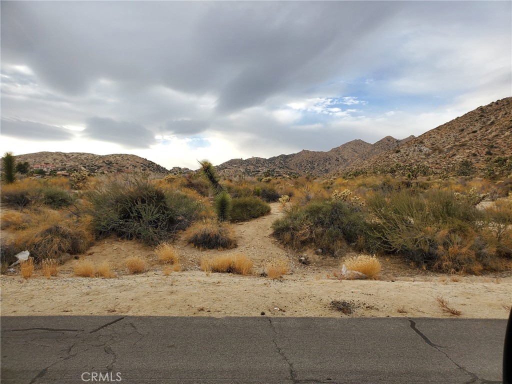 MLS #SB25140350 image #3