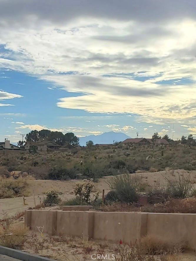 MLS #SB25140350 image #4