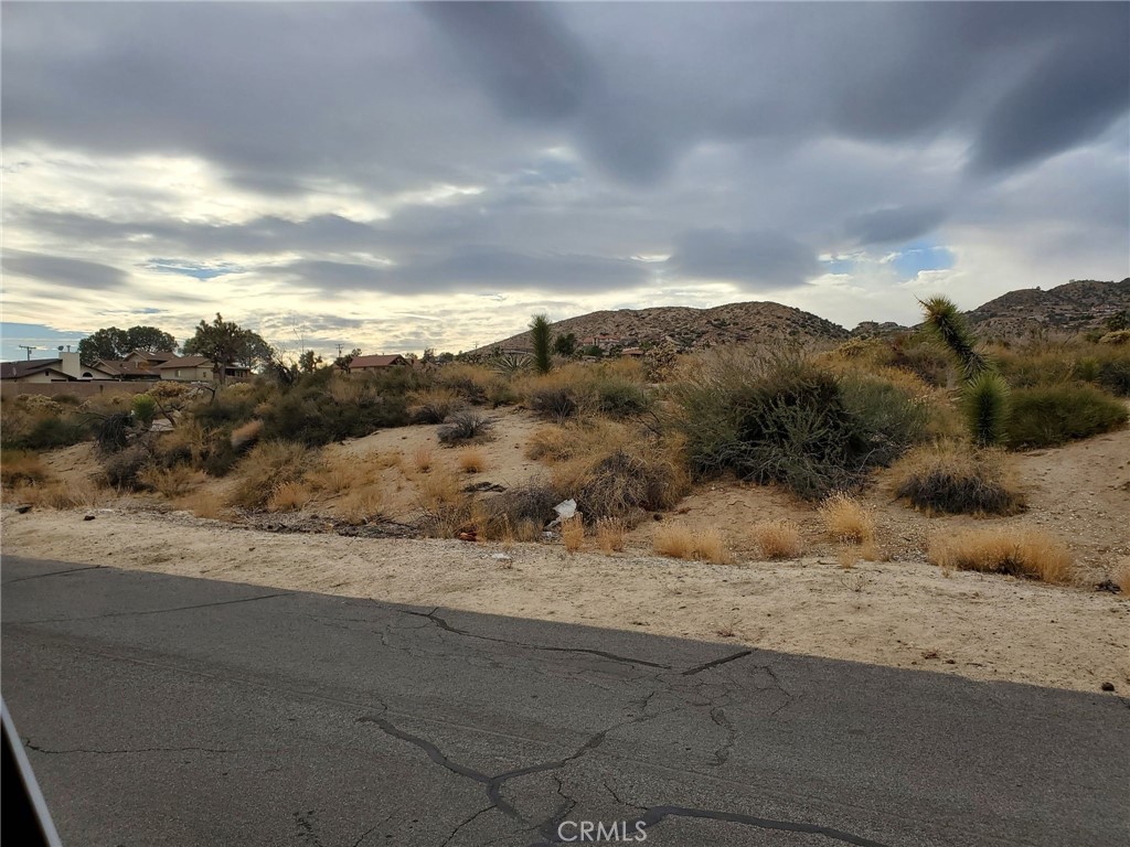 MLS #SB25140350 image #6