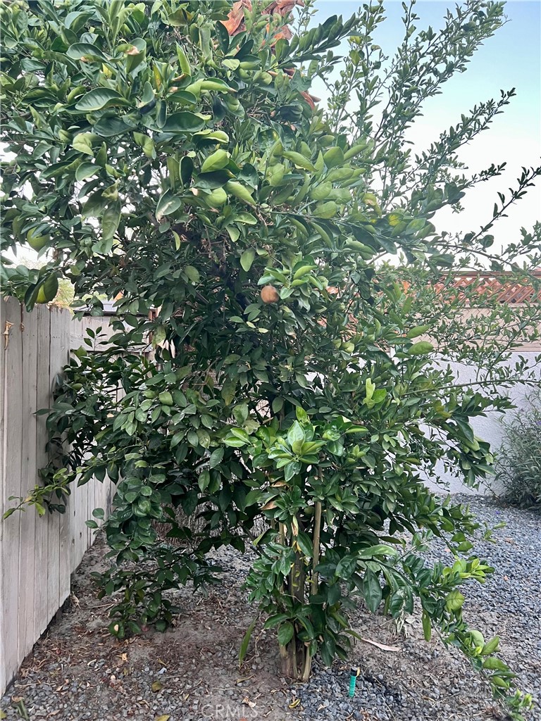 MLS #SB25246329 image #28