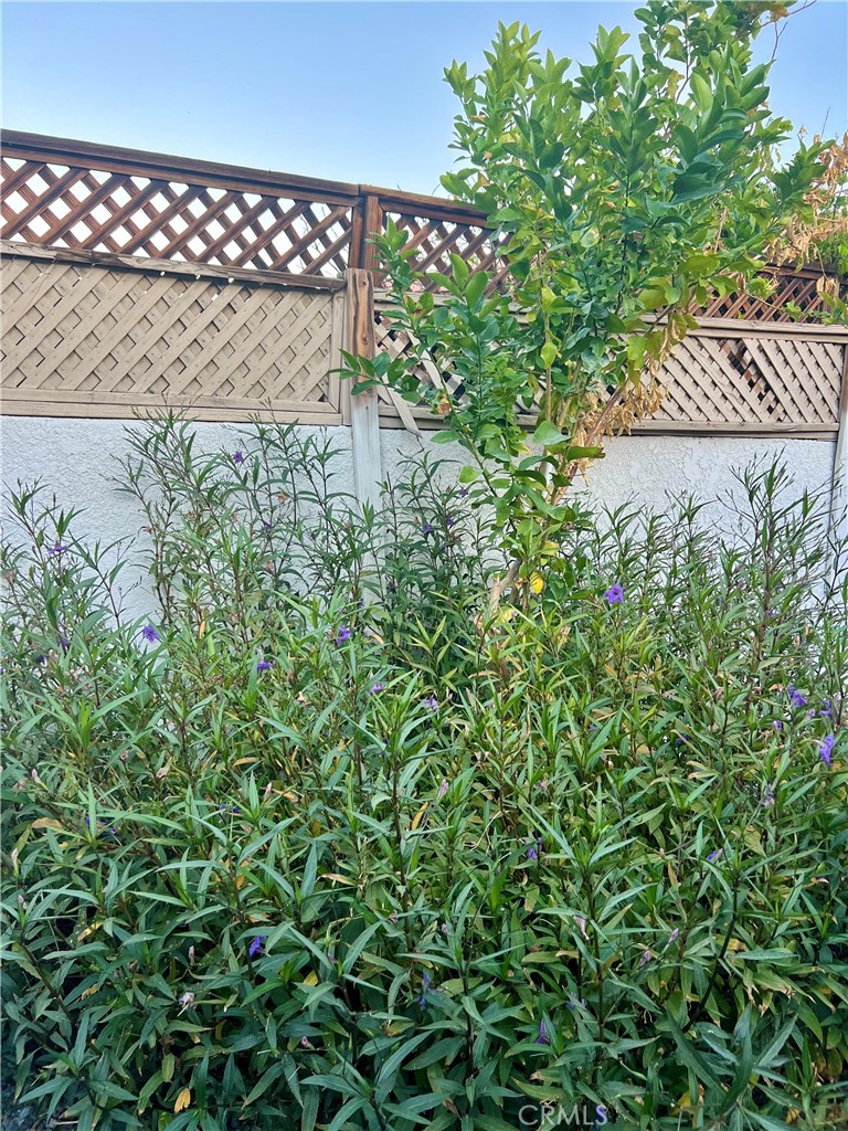 MLS #SB25246329 image #29