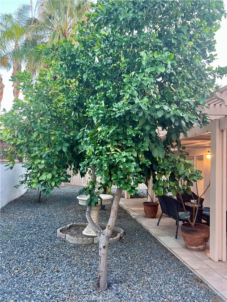 MLS #SB25246329 image #30