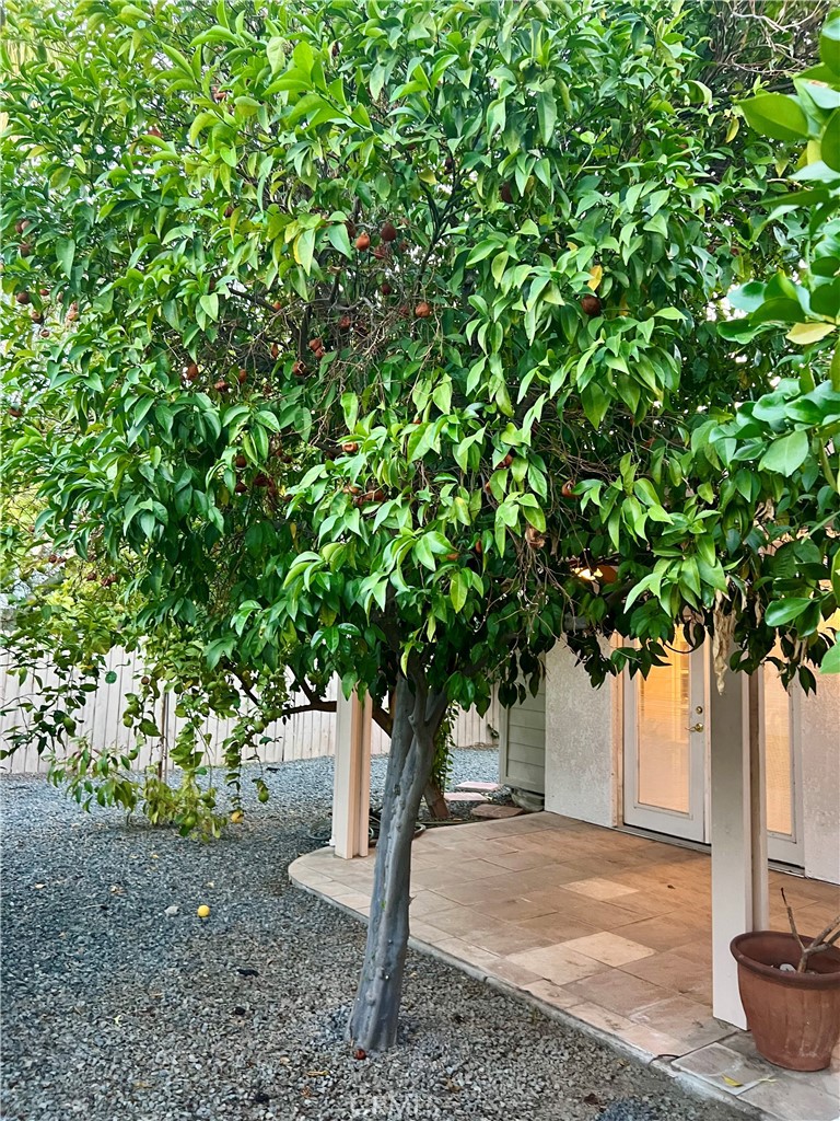 MLS #SB25246329 image #31