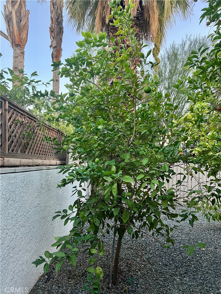 MLS #SB25246329 image #32