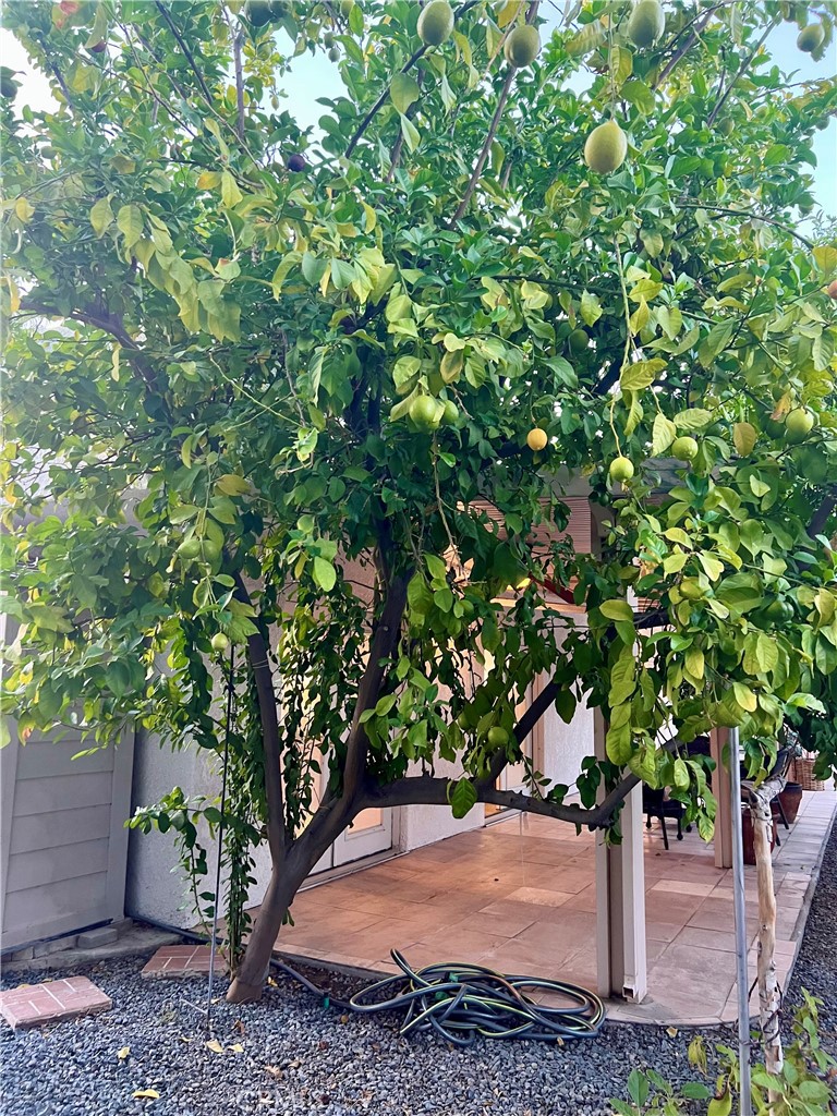 MLS #SB25246329 image #33