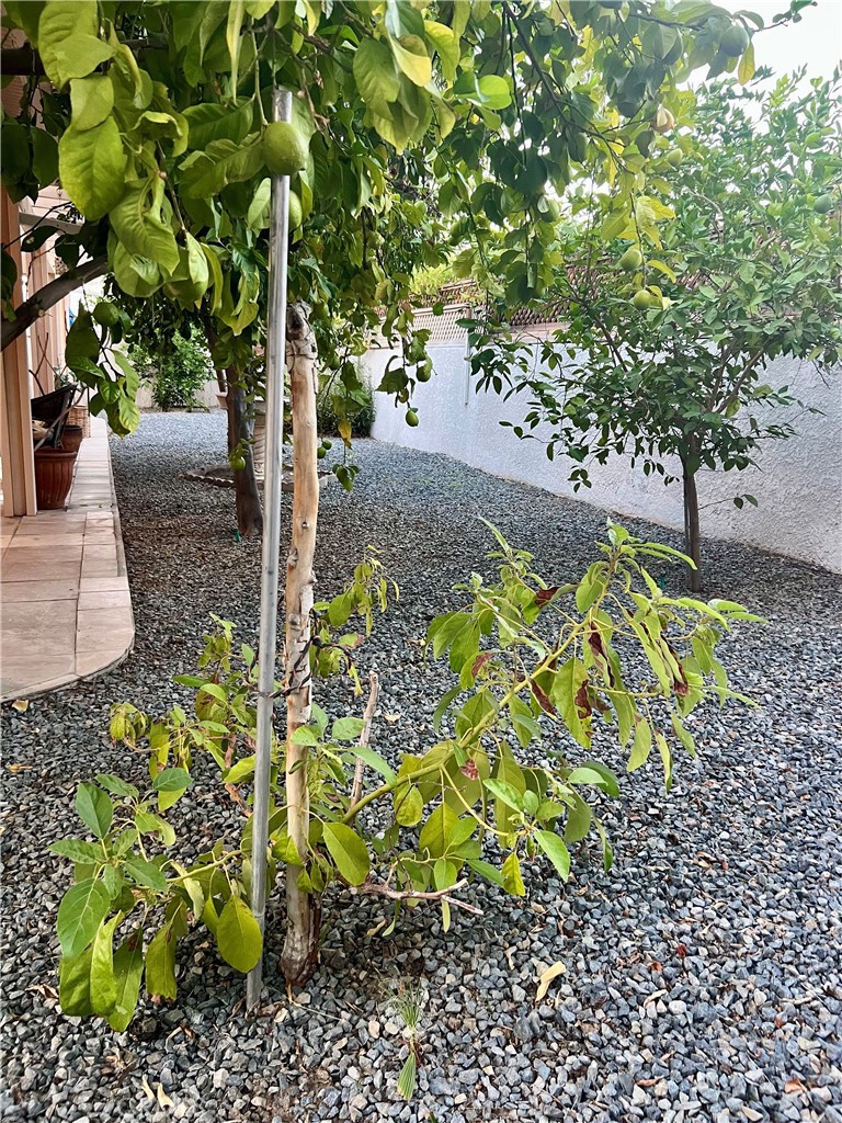 MLS #SB25246329 image #38