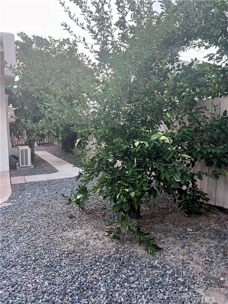 MLS #SB25246329 image #40