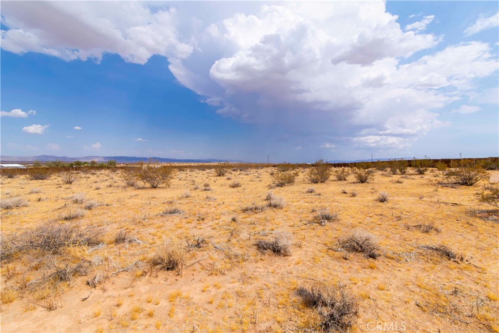 MLS #SR24202831 image #13