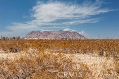 MLS #SR24252821 image #1