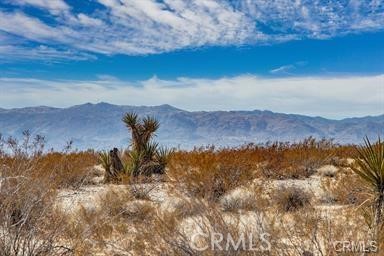 MLS #SR24252821 image #2