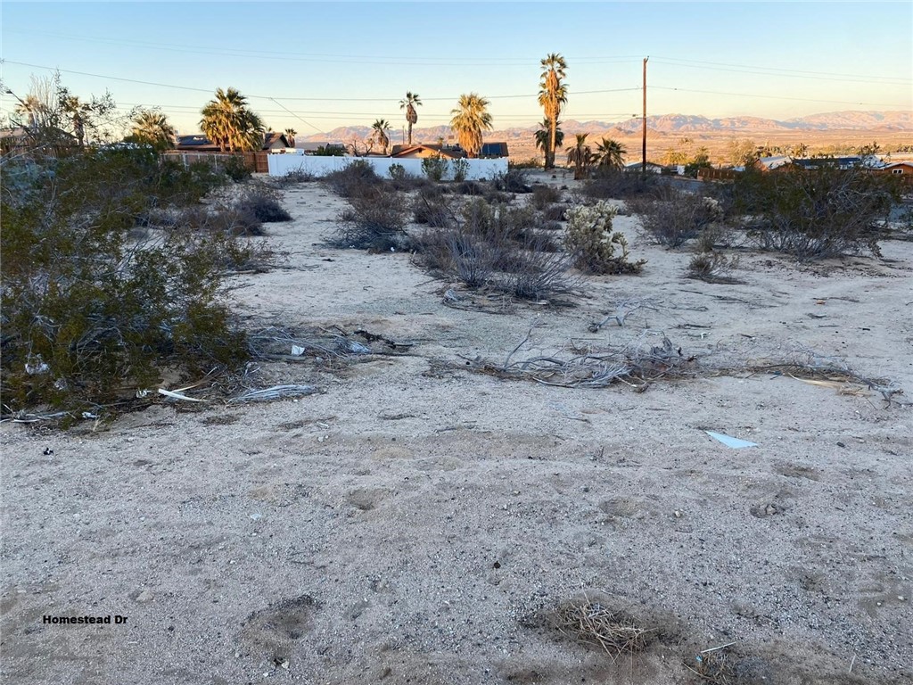 MLS #SR25009635 image #11