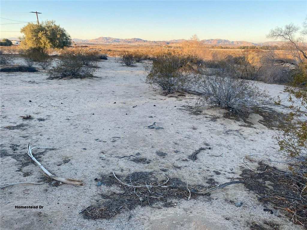 MLS #SR25009635 image #12