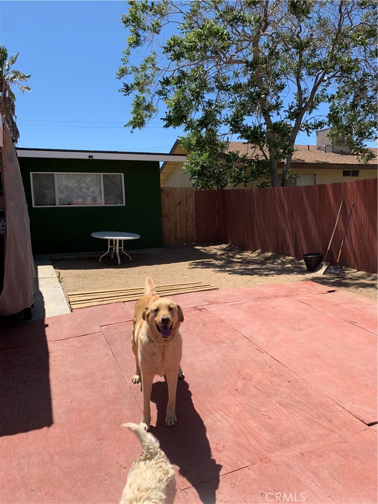 MLS #SR25089816 image #18