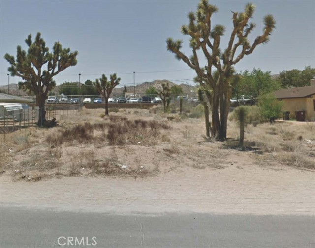 MLS #SR25196519 image #0