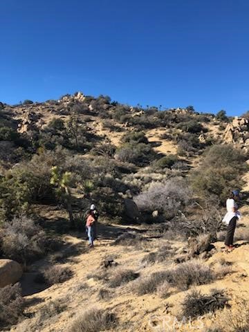 MLS #SR25225385 image #4