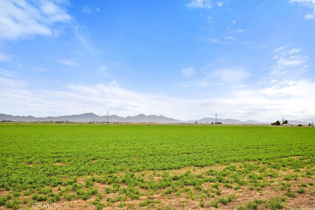 MLS #SW21246911 image #53