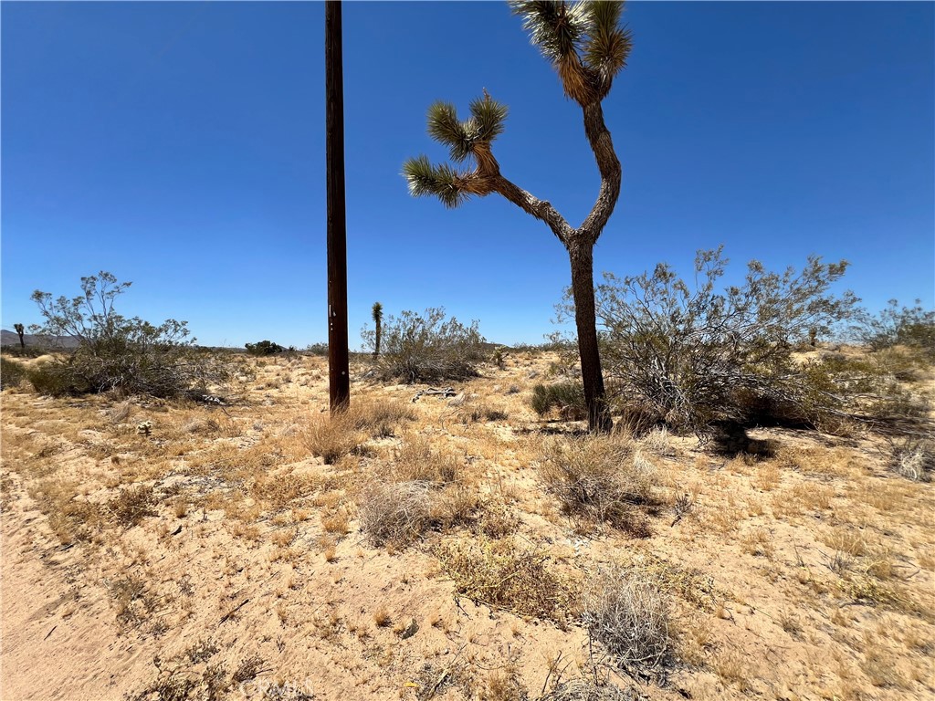 MLS #SW24134801 image #7