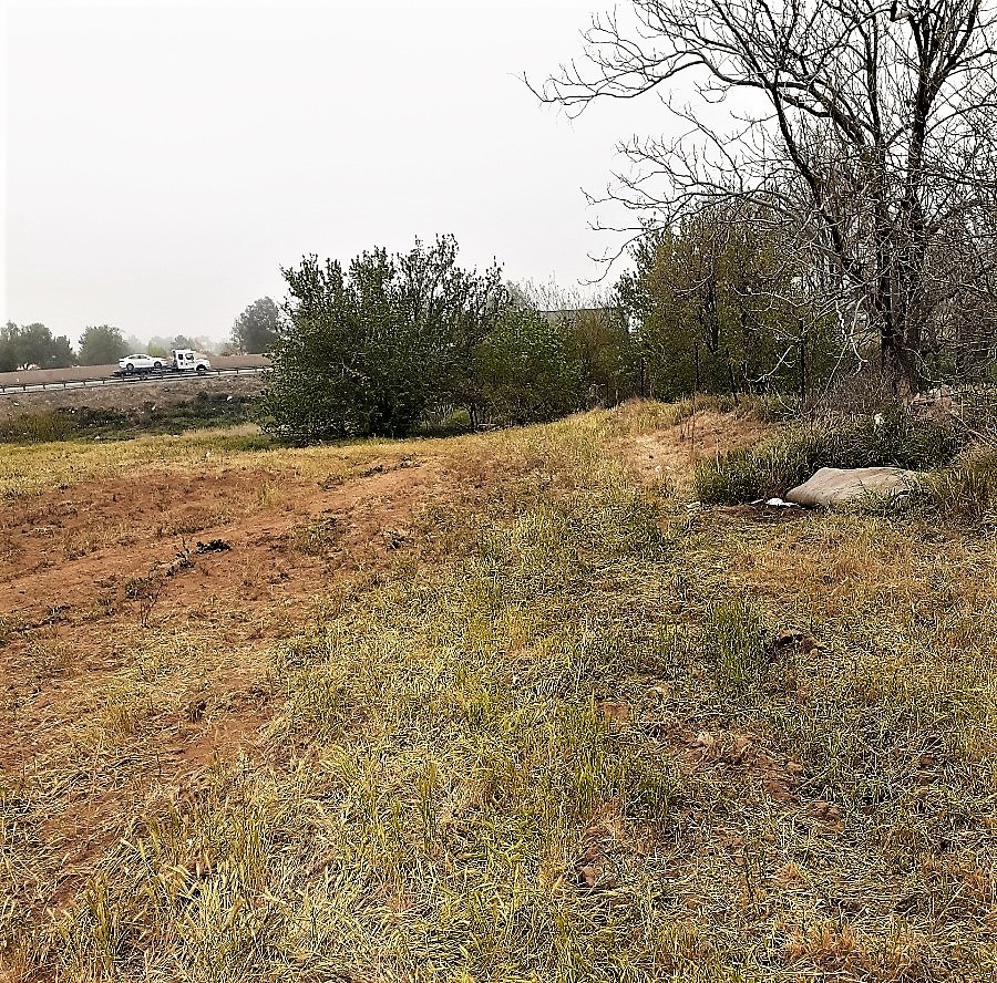 MLS #SW24211775 image #2