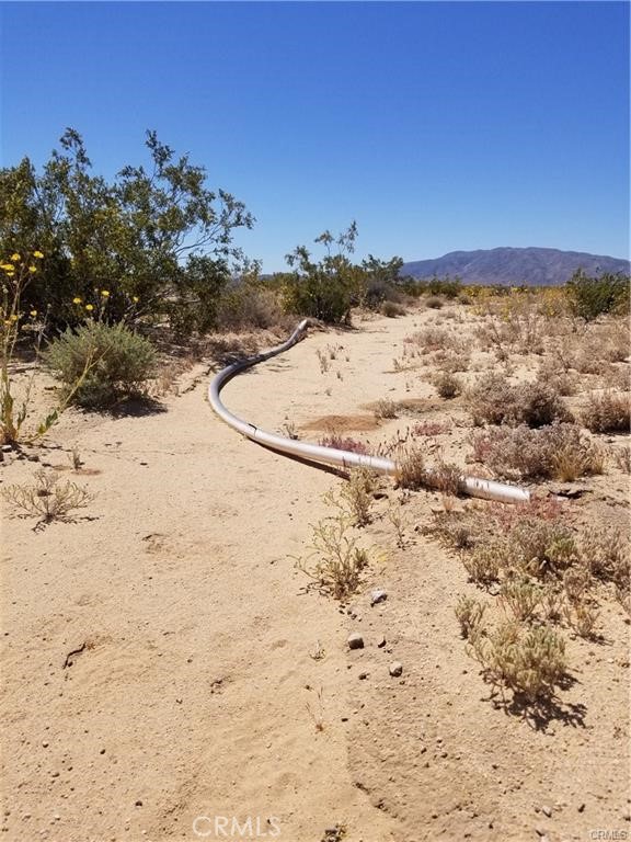 MLS #SW25014454 image #0