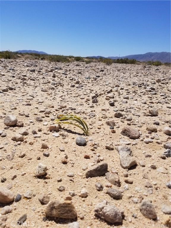 MLS #SW25014454 image #3