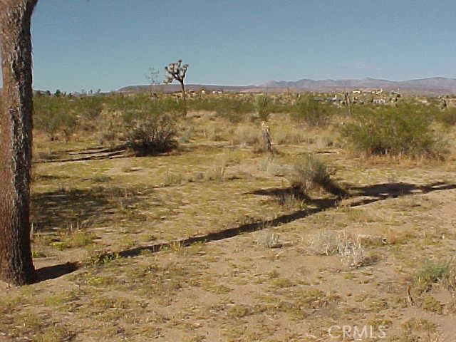 MLS #SW25017826 image #0