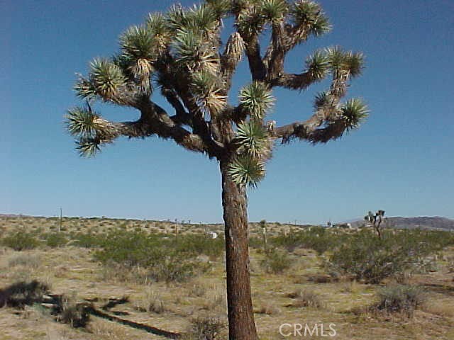 MLS #SW25017826 image #1