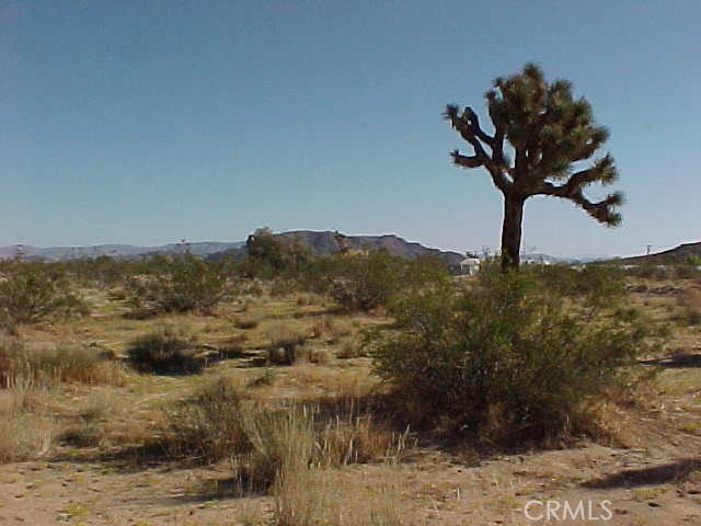 MLS #SW25017826 image #2